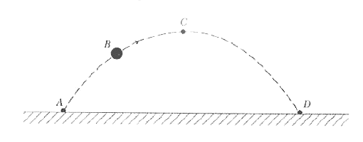 A tennis ball is thrown upward at an angle from point A. It follows a parabolic trajectory and hits the ground at point D. At the instant shown, the ball is at point B. Point C represents the highest position of the ball above the ground.      While in flight, how do the x and y components of the velocity vector of the ball compare at the points A and D?