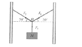 A block of mass M is hung by ropes as shown in the following figure. The system is in equilibrium. The point O represents the knot, the junction of the three ropes. Which of the following statements is true concerning the magnitudes of the three forces in equilibrium ?