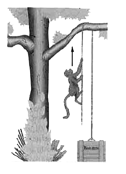 A 10 kg monkey climbs up a massless rope that runs over a frictionless tree limb and back down to a 15 kg package on the ground (Fig. 5-56). (a) What is the magnitude of the least acceleration the monkey must have if it is to lift the package off the ground? If, after the package has been lifted, the monkey stops its climb and holds on to the rope, what are the (b) magnitude and (c) direction of the monkey's acceleratiohn and (d) the tension in the rope ?