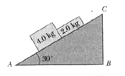 In Fig. 6-52, two blocks, in contact, slide down an inclined plane AC of inclination 30^(@) . The coefficient of kinetic friction between the 2.0 kg block and the incline is u(1)=0.20 and that between the 4.0 kg block and the incline is mu(2)=0.30. Find the magnitude of the acceleration.