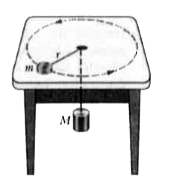 A puck of mas m=1.50 kg slides in a circle of radius r=25.0  cm on a frictionless table while attached to a hanging cylinder of mass M=2.50 kg by means of a cord that extends through a hole in the table. What speed keeps the cylinder at rest?