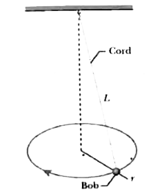 Figure shows a conical pendulum, in which the bob (the small object at the lower end of the cord) moves in a  horizontal circle at constant speed. (The cord sweeps out a cone as the bob rotates). The bob has a mass of 0.040 kg, the string has length L=0.90 m and negligible mass, and teh bob follows a circular path of circumfernece 0.94m. What are (a) The tension in the string and (b) the period of the motion?