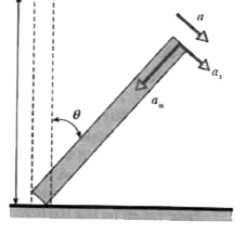 The angular acceleration of the toppling pole shown in fig is given by a= k sin theta, where theta  is the angle between the of the pole and the vertical, and k is aconstant. The pole starts from rest at theta=0. Find (a) the tan gential and (b) the centripetal acceleration of  the upper end of the pole in terms of k, theta, and (the length of the pole.)