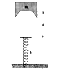 A block of mass m=2.0 kg is dropped from height h=50 cm onto a spring of spring constant k=1960 N/m ( Fig. 8-68). Find the maximum distance the spring is compressed.