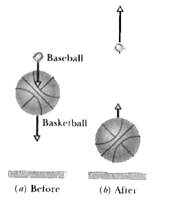A small ball of mass m is aligned above a larger ball of mass M = 0.63 kg (with a slight separation, as with the baseball and basket ball of Fig. ), and the two are dropped simultaneously from a height of h = 1.8 m. (Assume the radius of each ball is negligible relative to h.) (a) If the larger ball rebounds elastically from small ball rebounds elastically from the larger ball, what value of m results in the larger ball stopping when it collides with the small ball ? (b)What height does the small ball then reach ?