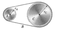 In Fig. 10-54, wheel A of radius r(A)=10cm is coupled by belt B to wheel C of radius r(C)=25cm. The angular speed of wheel A is increased from rest at a constant rate of 2.0rad//s^(2). Find the time needed for wheel C to reach an angular speed of 100 rev/min, assuming the belt does not slip.