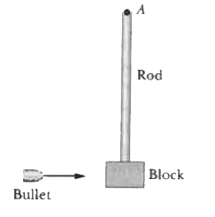 In Fig. 10-84, a 1.0 g bullet is fired into a 0.60 kg block attached to the end of a 0.75 m nonuniform rod of mass 0.50 kg. The block-rod-bullet system then rotates in the plane of the figure, about a fixed axis at A. The rotational inertia of the rod alone about that axis at A is 0.060kg*m^(2). Treat the block as a particle. (a) What then is the rotational inertia of the block-rod-bullet system about point A? (b) If the angular speed of the system about A just after impact is 4.5 rad/s, what is the bullet's speed just before impact?