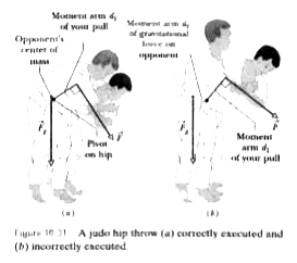 To throw an 80 kg opponent with a basic judo hip throw, you intend to pull his uniform with a force vecF and a moment arm d(1) = 0.30 m from a pivot point on your right hip. You wish to rotate him about the pivot point with an angular acceleration alpha