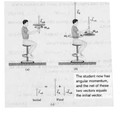 Figure shows a student, again sitting on a stool that can rotate freely about a vertical axis. The student, initially at rest, is holding a bicycle wheel whose rim is loaded with lead and whose rotational inertia I(wh) about its central axis is 1.2kg*m^(2).   The wheel is rotating at an angular speed omega(wh) of 3.9 rev/s, as seen from overhead, the rotation is counterclockwise. The axis of the wheel is vertical, and the angular Momentum vecL(wh) of the wheel points vertically upward.      The student now inverts the wheel so that, as seen from overhead, it is rotating clockwise. Its angular momentum is now -vecL(wh). The inversion results in the student, the stool, and the wheel's center rotating together as a composite rigid body about the stool's rotation axis, with rotational inertia I(b)=6.8kg*m^(2). With what angular speed omega(b) and in what direction does the composite body rotate after the inversion of the wheel?