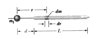 A particle of mass m1 = 0.67 kg is a distance d = 23 cm from one end of a uniform rod with length L = 2.5 m and mass M = 4.0 kg. What is the magnitude of the gravitational for vecF the particle from the rod ?