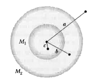 Two concentric sperical shells with uniformly distributed masses M1 = 5.00 xx 10^3 kg and M2 = 9.00 xx 10^3 kg are situated as shown. Find the magnitude of the net gravitational force on a particle of mass m = 2.00 kg due to the shells, when the particle is located at radial distance (a) a = 11.0 m, (b) b = 6.00 m and (c)  c = 2.00 m.
