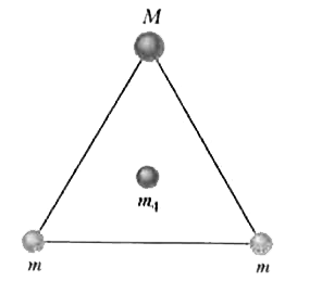 As seen in two spheres of mass m and a third sphere of mass M form an equilateral triangle, and a fourth sphere of mass m4 is at the center of the triangle. The net gravitational force on that central sphere from the three other spheres is zero. (a) What is M in terms of m? (b) If we double the value of m4 what then is the magnitude of the net gravitational force on the central sphere?