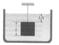 In Fig. a cube of edge length L=0.500 m and mass 450 kg is suspended by a rope in an open tank of liquid of density 1030 kg/m^(3). Find (a) the magnitude of the total downward force on the top of the cube from the liquid and the atmosphere, assuming atmospheric pressure is 1.00 atm, (b) the magnitude of the total upward force on the bottom of the cube, and (c) the tension in the rope. (d) Calculate the magnitude of the buoyant force on the cube using Archimedes' principle. What relation exists among all these quantities?