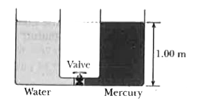 Two identical containers are open at the top and are connected at the bottom via a tube of negligible volume and a valve that is closed . Both containers are filled initially to the same height of 1.00 m , one with water , the other with mercury , as the figure indicates . The valve is then opened . Water and mercury are immiscible . Determine the fluid level in the left container when equilibrium is reestablished .