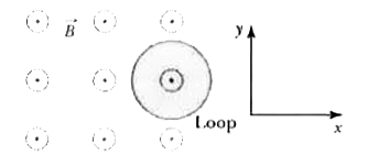 A circular loop of wire is positioned half in and half out of a square region of uniform magnetic field directed in the +z direction, out of the paper, as shown in the following figure. To induce a counterclockwise current in this loop