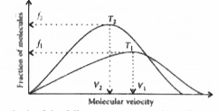 Plot of Maxwell's distribution of velocities is given below :      Which  of the following is correct about this plot ?