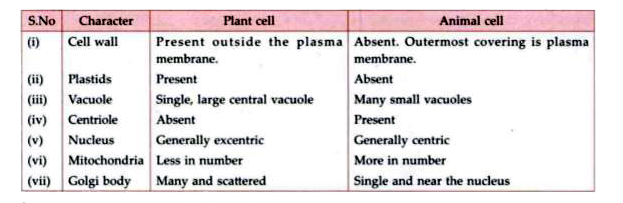 Make a comparison and write down ways in which plant cells are different  from animal cells.