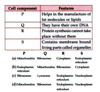 Features of different cell components are given as follows. Identify the cell components and select the correct option.