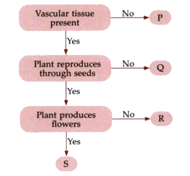 Refer to the given flow chart.