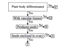 Refer to the given flow chart and identify P, Q, R, S and T.