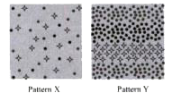 The given diagrams show two different cropping patterns, X and Y. Identify these patterns and select the incorrect option regarding them.