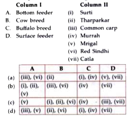 Match column I with column II and select the correct option from the codes given below.