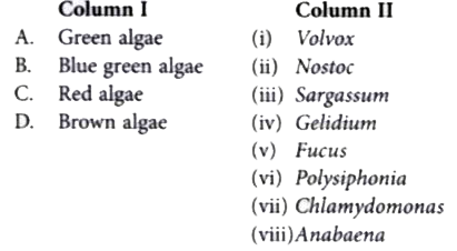 Match column I with column II and select the correct option from the given codes.