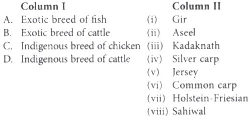 Match column I with column II and select the correct option from the codes given below.