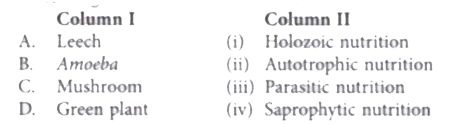 Match the organisms given in column I with the mode of nutrition given in column II and select the correct option.