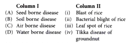 Match the following columns and select the correct option.