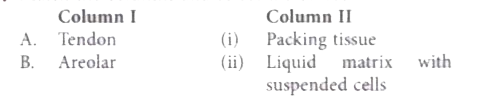 Match the columns and select the correct option.