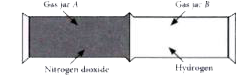 The diagram shows the apparatus set-up for an experiment. Gas jar ( A) contains a brown gas, nitrogren dioxide and gas jar ( B) contains hydrogen > The molecular masses of nitrogen dioxide and hydrogen are 46 and 2 respectively.      Describe and explain the follwoing observations in the two gas jars as the experiment proceeds.    The colour of the gas.