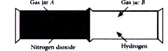 The diagram shows the apparatus set-up for an experiment. Gas jar ( A) contains a brown gas, nitrogren dioxide and gas jar ( B) contains hydrogen > The molecular masses of nitrogen dioxide and hydrogen are 46 and 2 respectively.      Describe and explain the follwoing observations in the two gas jars as the experiment proceeds.    The speed of the gas particles.