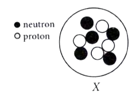 The diagram given below shows the sub-atomic particles present in the nucleus of atom X.      Which is the symbol for atom X ?