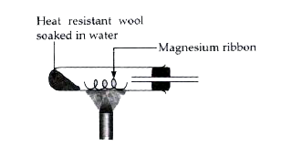 Magnesium reacts with steam to form magnesium oxide and a gas.        (a) Name the gas formed during the reaction.   (b) Complete the above diagram to show how the gas could be collected.   (c) Describe a test for the gas and state the result you would expect to obtain.