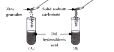 A student took two test tubes, (A) and (B) containing 2 mL of dilute hydrochloric acid and added zinc granules to test tube (A) and solid sodium carbonate to test tube (B) as shown below:       The correct observation would be