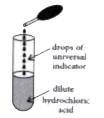 A student added a few drops of the universal indicator to a solution of dilute hydrochloric acid in the way as shown here.     He observed that the colour of the solution changes from colourless to