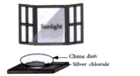 Observe the given figure and answer the question that follows:        State True (T) or False (F) for the following statements.    (i) It is a photodecomposition reaction.    (ii) Silver chloride turns grey in sunlight to form silver metal.    (iii) It is an exothermic reaction.    (iv) Silver bromide also behaves in the same way and used in black and white photography.