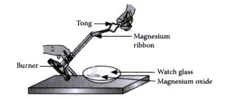 Magnesium Ribbon Reacts With Oxygen Magnesium Ribbon Reacts With Oxygen
