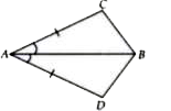 Assertion : In a quadrilateral ACBD, AC = AD and AB bisects angleA (see figure) then DeltaACB ~= DeltaADB by SAS congruence criteria.      Reason : Two triangles are congruent if two sides and the included angle of one triangle is equal to the corresponding two sides and included angle of the other.
