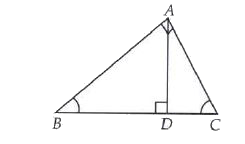 In DeltaABC , angleBAC = 90^(@) and AD bot BC. . If angleBAD =40^(@) then what is the measure of angle ACD ?