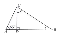 DeltaABC is right anged at C and CD bot AB . If angle=65^(@) , then the measure of angleBCD is