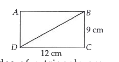 What is the length of diagonal BD ( in cm) of the rectangle ABCD ?