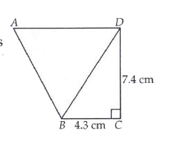 Calculate the area of Delta ABD in the given below, if AD ||BC and  the measure of AD is double the measure of BC.