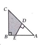 In the figure, AB = 20 cm, BC = 21 cm, AD = 10 cm and DE = 10.5 cm. angle ABC and angle ADE are right angles. Find the area of the shaded region as shown in the figure.