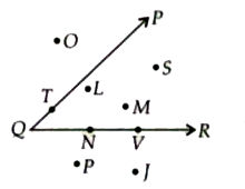In the given diagram, name the point(s)    In the interior of angle PQR