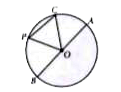 In given figure, O is the centre of the circle.        Which of the following is not the radius of the given circle?
