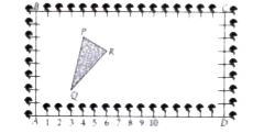 The class X students of a secondary school in Krishinagar have been allotted a rectangular plot of land for their gardening activity. Saplings of Gulmohar are planted on the boundary at a distance of 1 m from each other. There is a triangular grassy lawn in the plot as shown in the figure. The students are to sow seeds of flowering plants on the remaining area of the plot.   (i) Taking A as origin, find the coordinates of the vertices of the triangle.   (ii) What will be the coordinates of the vertices of Delta PQR if C is the origin?   Also calculate the areas of the triangles in these cases. What do you observe?