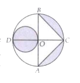 In the figure, AB and CD are two diameters of a circle (with centre O) perpendicular to each other and OD is the diameter of the smaller circle. If OA = 7 cm, find the area fo the shaded region.
