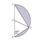 In the given figure, a semicircle with centre 'O' is drawn on AB. If  angle ABC = 60^(@), then the ratio of area fo larger to smaller shaded region is
